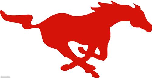mustangs 